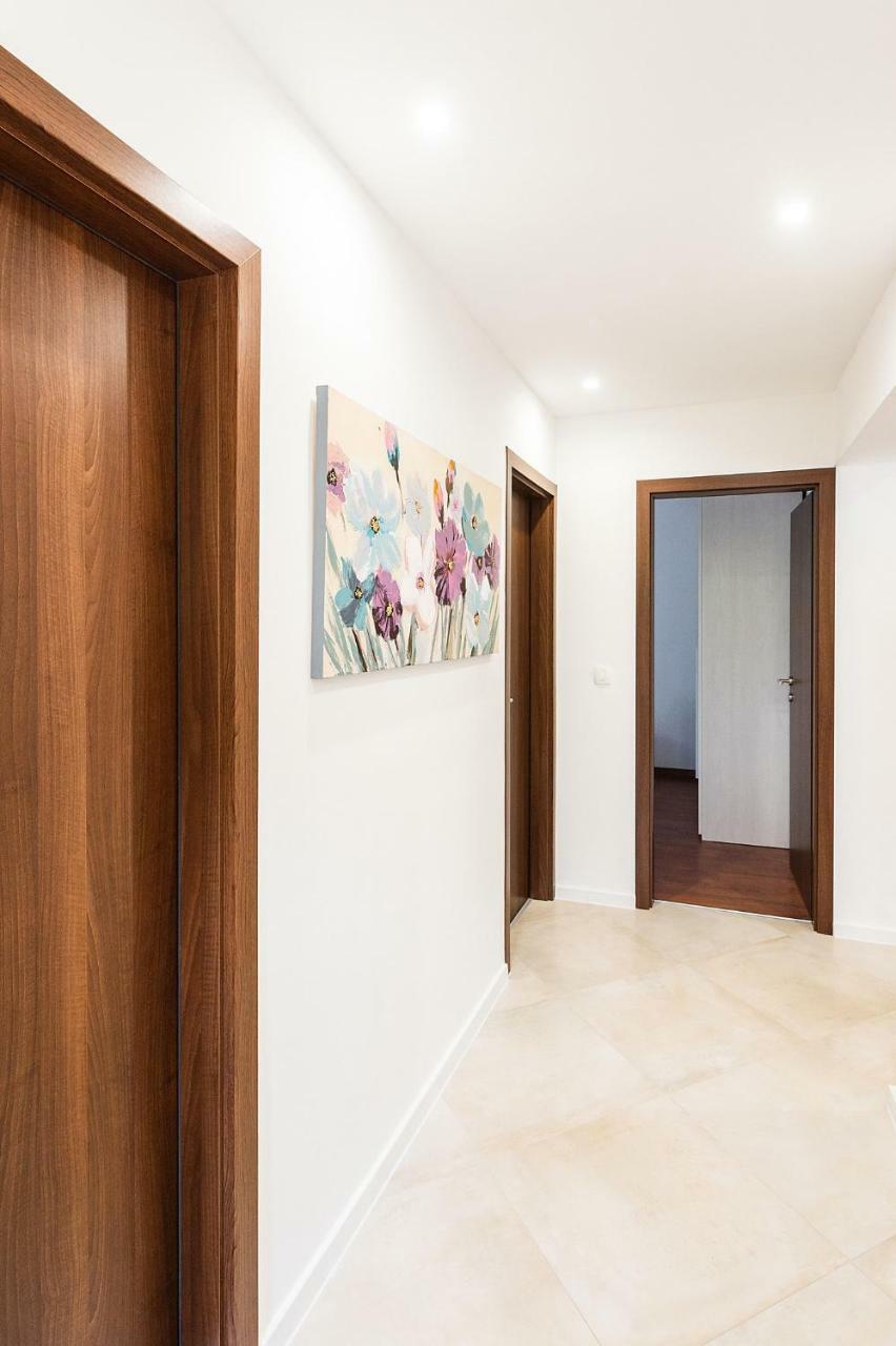 Apartment Auretta Novigrad Istria Buitenkant foto